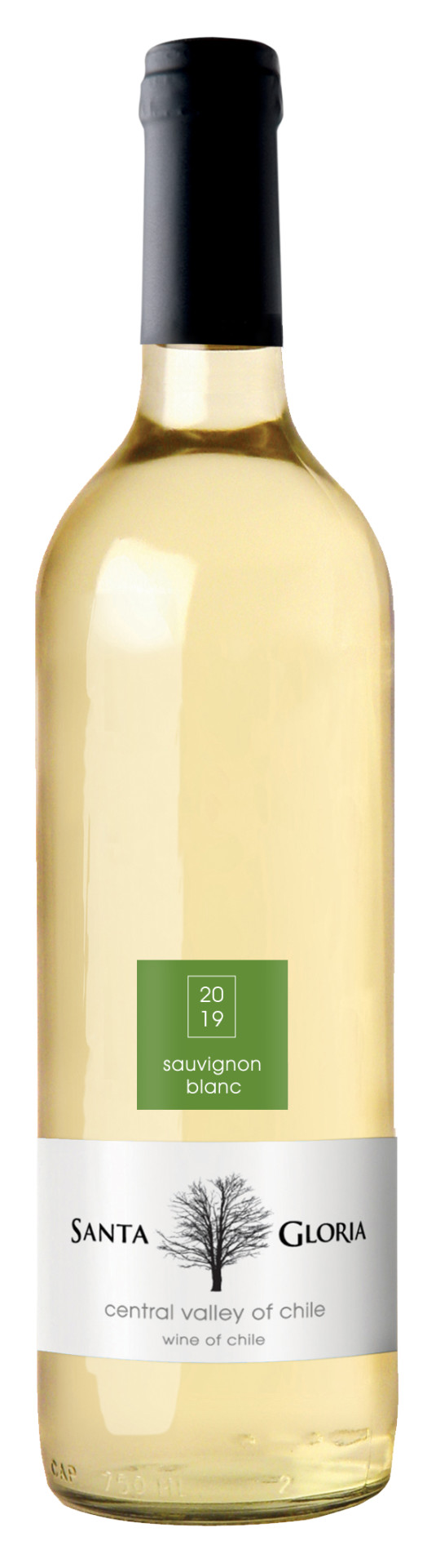 Santa Gloria Sauvignon Blanc chilei minőségi fehérbor 0.75l (Varietal)