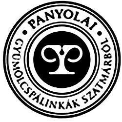 Vendégváró Körte Pálinka /Panyolai/ 1l DRS